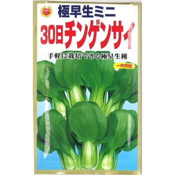 【タネ】 極早生ミニ30日チンゲンサイ アタリヤ農園