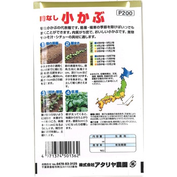 【タネ】 時なし小かぶ - アタリヤ農園