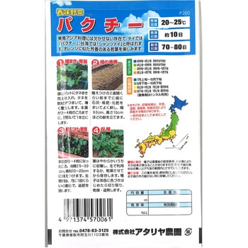 【タネ】 爽やかなパクチー アタリヤ農園