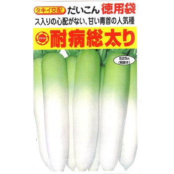 【タネ】 徳用タキイ耐病総太り大根 アタリヤ農園