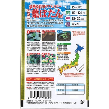 【タネ】 豪華な彩りトリプルカラー 切花用葉ぼたん Mix アタリヤ農園
