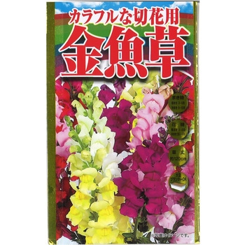 【タネ】 カラフルな切花用 金魚草 アタリヤ農園
