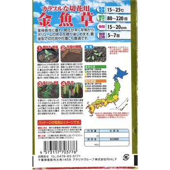 【タネ】 カラフルな切花用 金魚草 - アタリヤ農園