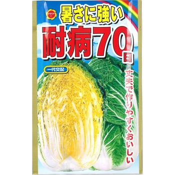 CAT699034 【タネ】 暑さに強い耐病70日白菜 1袋 アタリヤ農園 【通販