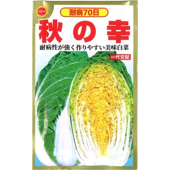 CAT774450 【タネ】 一代交配 70日耐病黄芯白菜 秋の幸 1袋 アタリヤ