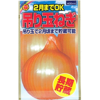 CAT699134 【タネ】 2月までOK 吊り玉ねぎ 1袋 アタリヤ農園 【通販