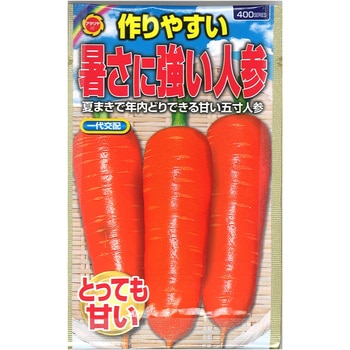 【タネ】 作りやすい 暑さに強い人参 アタリヤ農園
