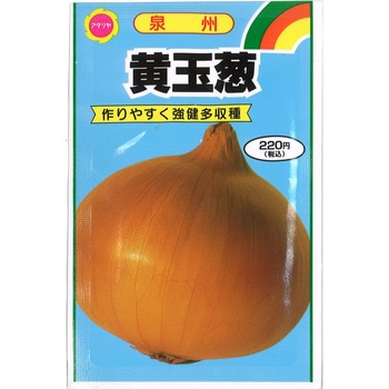 CAT774324 【タネ】 泉州 黄玉ねぎ 1袋 アタリヤ農園 【通販モノタロウ】