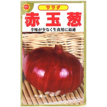 CAT774326 【タネ】 赤玉葱 1袋 アタリヤ農園 【通販モノタロウ】 CAT774326 【タネ】 赤玉葱 1袋 アタリヤ農園 【通販モノタロウ】