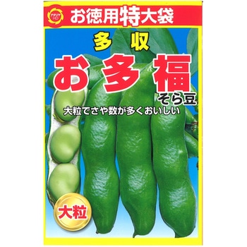 CAT699182 【タネ】 特大袋 多収 お多福 そら豆 1袋 アタリヤ農園