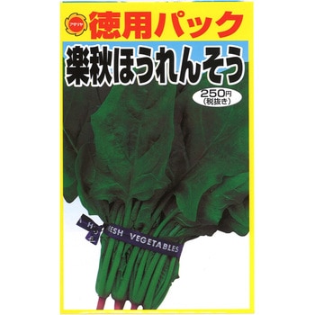 【タネ】 徳用パック 楽秋ほうれん草 アタリヤ農園