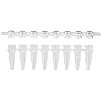 PCRストリップチューブ - ケニス