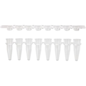 PCRストリップチューブ - ケニス