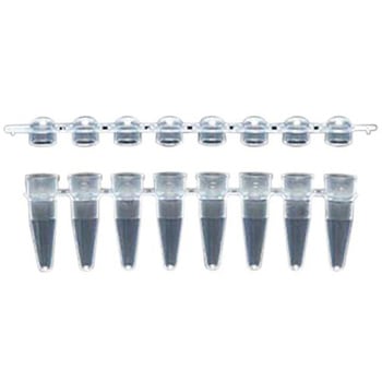 PCR8連チューブ ケニス