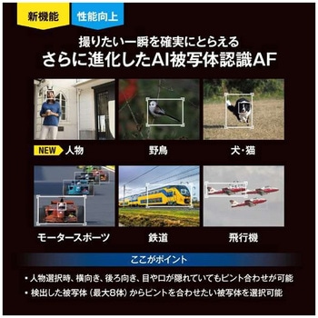 ミラーレス一眼 OM-1 Mark II OM SYSTEM