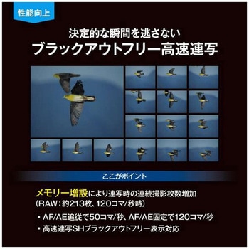 ミラーレス一眼 OM-1 Mark II OM SYSTEM