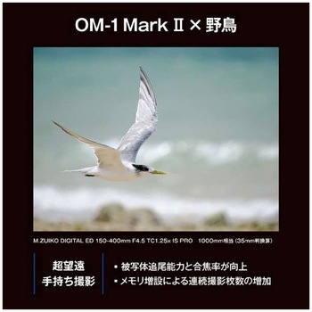 ミラーレス一眼 OM-1 Mark II OM SYSTEM
