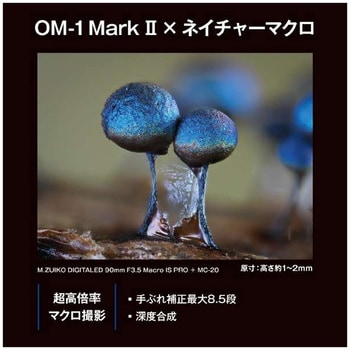 ミラーレス一眼 OM-1 Mark II OM SYSTEM