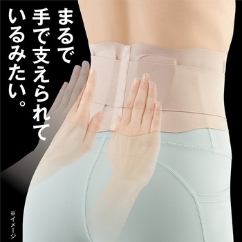 お医者さんの腰サポーター ピタ肌 アルファックス
