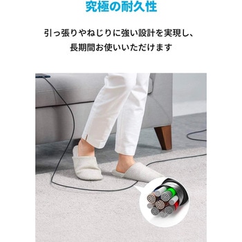 Anker PowerLine III USB-C & USB-C ケーブル (USB2.0対応) 3.0m Anker(アンカー)