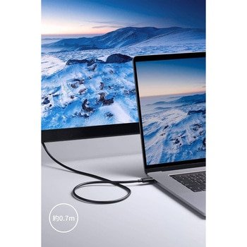 Anker USB-C & USB-C Thunderbolt 4 100W ケーブル 0.7m Anker(アンカー)