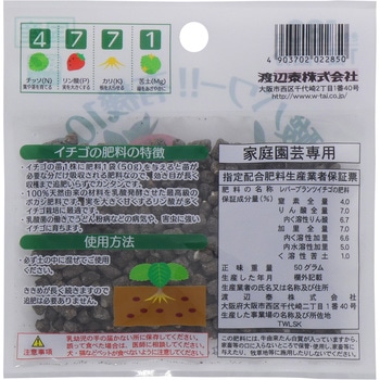 乳酸発酵 イチゴの肥料 渡辺泰