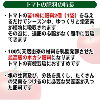 乳酸発酵 トマトの肥料 渡辺泰