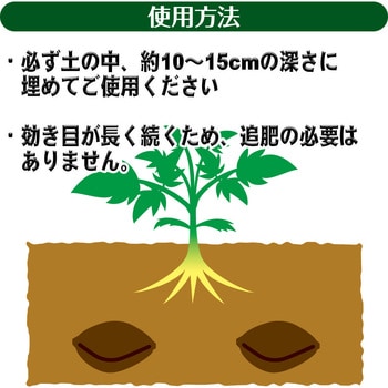 乳酸発酵 トマトの肥料 渡辺泰