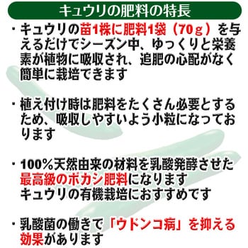 乳酸発酵 キュウリの肥料 渡辺泰 野菜 果樹用 通販モノタロウ 70g