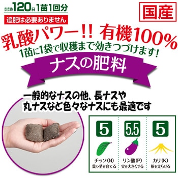 乳酸発酵 ナスの肥料 - 渡辺泰