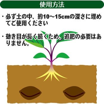 2個入り 50g 乳酸発酵 ナスの肥料 渡辺泰 1袋 50g 通販モノタロウ