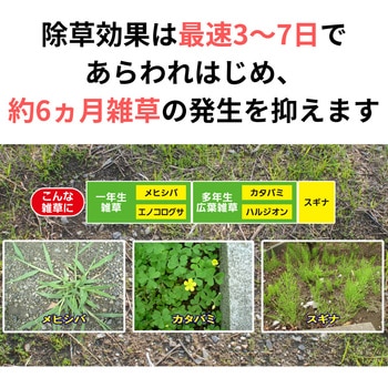 草退治E粒剤 KINCHO園芸