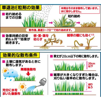 草退治E粒剤 KINCHO園芸