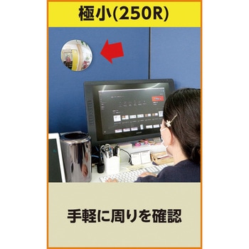 どこでもミラー カーボーイ