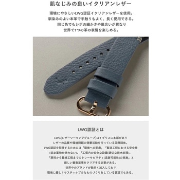 [Apple Watch Series 9/SE(第2/1世代)/8/7/6/5/4/3/2/1(38-41mm)専用]salisty noble レザーバンド salisty