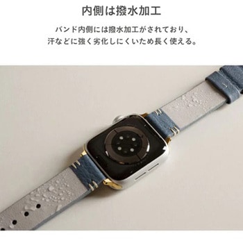 [Apple Watch Series 9/SE(第2/1世代)/8/7/6/5/4/3/2/1(38-41mm)専用]salisty noble レザーバンド salisty
