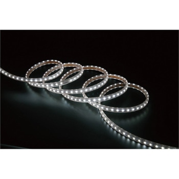 ジャックロープライト(片面) ルーファース