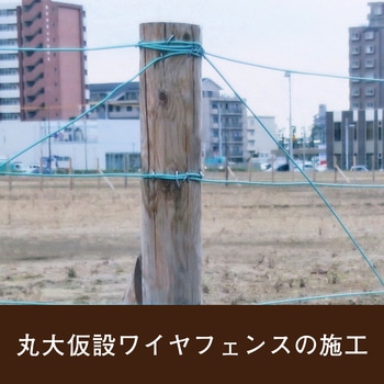 結束資材 被覆なまし鉄線「ニッポリ線」 日本化線