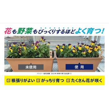 パワフルシリカ パワフルシリカ
