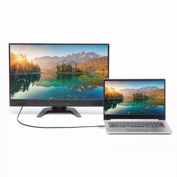 USB TypeCケーブル_USB 20Gbps サンワサプライ