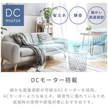 YLX-EHD251(W) 扇風機 DCモーター ミニ 静音 切タイマー フル