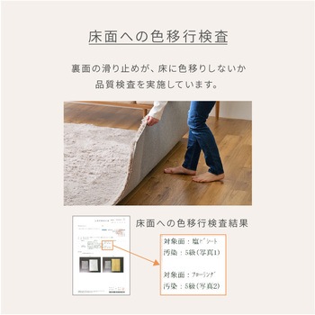 抗菌 防臭 防ダニ さらふわ 洗える シャギーラグマット YAMAZEN(山善)