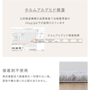 抗菌 防臭 防ダニ さらふわ 洗える シャギーラグマット YAMAZEN(山善)