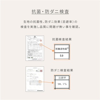 抗菌 防臭 防ダニ さらふわ 洗える シャギーラグマット YAMAZEN(山善)
