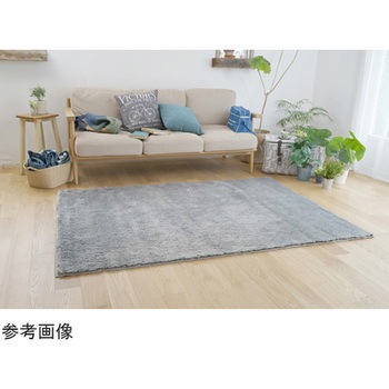 防炎 アレルブロックラグ ネオグラス スミノエ