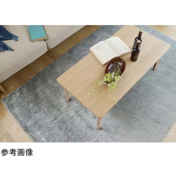 防炎 アレルブロックラグ 円形 ネオグラス スミノエ