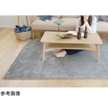 防炎 アレルブロックラグ 円形 ネオグラス スミノエ