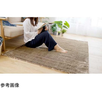 防炎 アレルブロックラグ 円形 ネオグラス スミノエ
