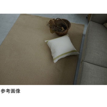防炎 ラグ エコロア 13124609シリーズ スミノエ