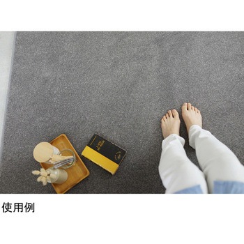 防炎 ラグ エコロア 13124609シリーズ スミノエ